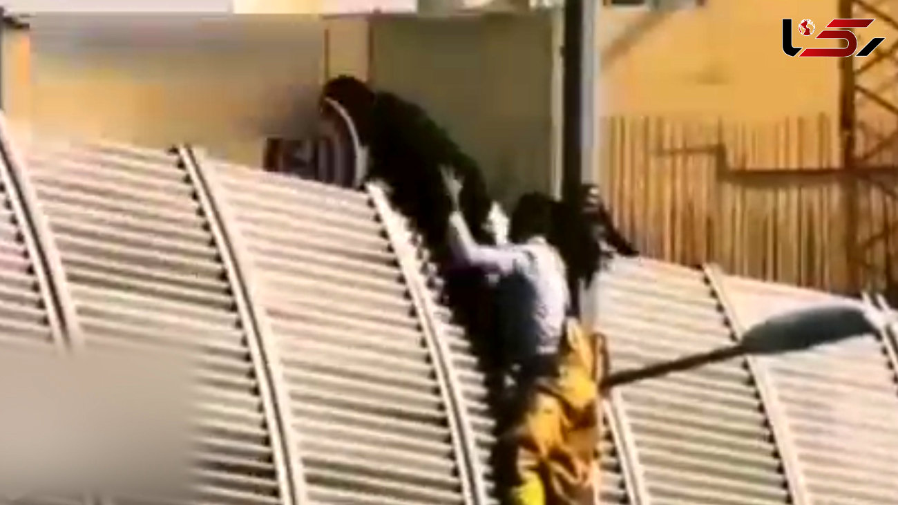 فیلم لحظه خودکشی مرد کرجی از روی پل / تلاش بی وقفه آتش نشانان
