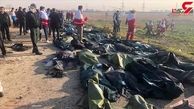 اسامی 147 مسافر ایرانی جانباخته در حادثه سقوط هواپیمای اوکراینی