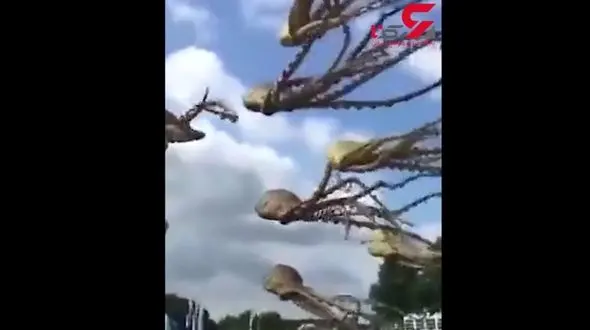 جشن بادبادک ها در کشور چین +فیلم