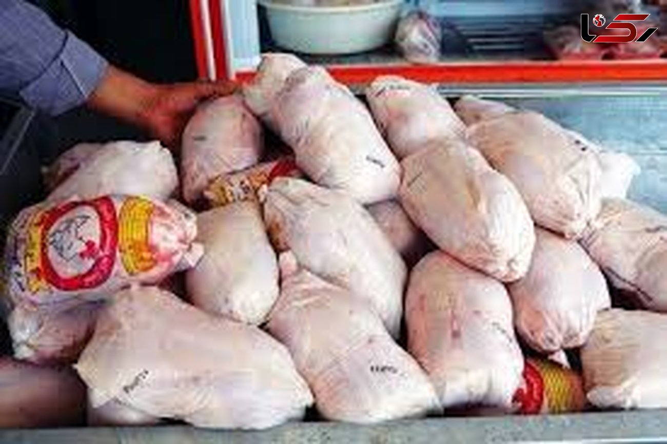 کشف ۷ تن مرغ قاچاق در بروجرد