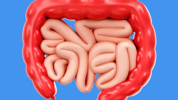 التهاب روده چیست؟ / از علت و انواع التهاب روده تا درمان و علائم آن