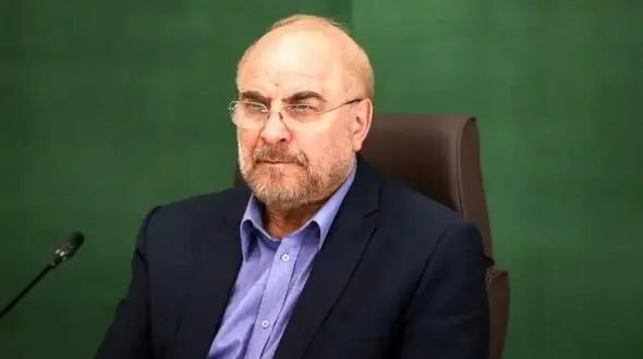 فیلم / بازداشت دکتر قالیباف در مشهد / وقتی خودم رو معرفی کردم که دیدم دارن میفرستنم به بازداشتگاه ...