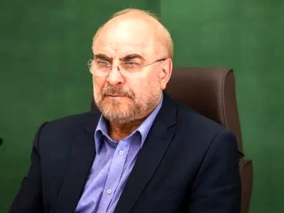 فیلم / بازداشت دکتر قالیباف در مشهد / وقتی خودم رو معرفی کردم که دیدم دارن میفرستنم به بازداشتگاه ...