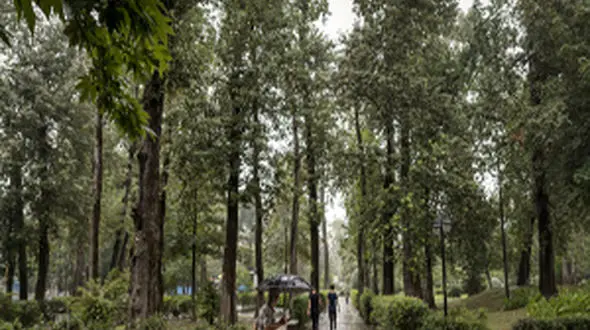 بارش ۲۲ میلیمترباران در مشهد/برخی معابر دچار آبگرفتگی شد
