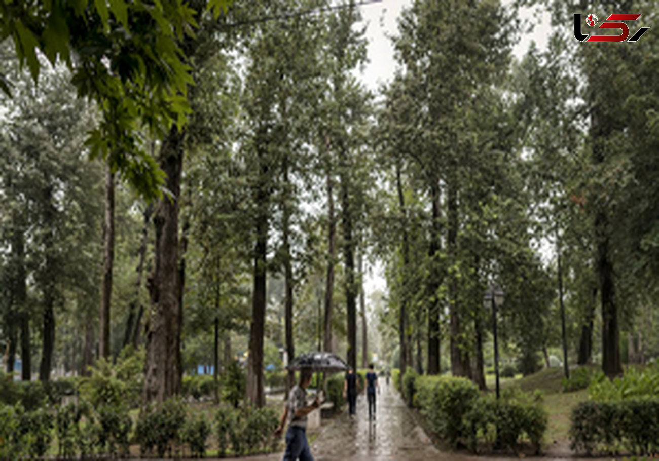 بارش ۲۲ میلیمترباران در مشهد/برخی معابر دچار آبگرفتگی شد
