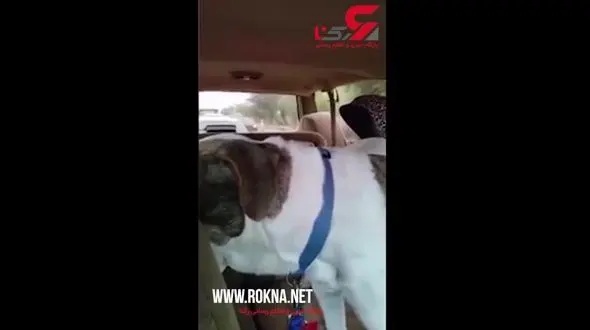 تصادف زنجیره ای در اتوبان+ فیلم