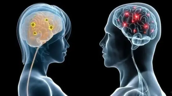 تفاوت عملکرد صدها ژن در مغز مردان و زنان