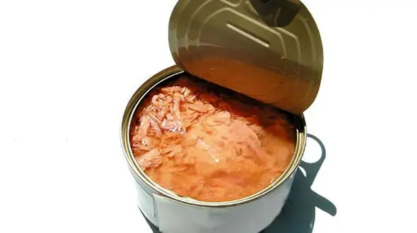 7 خوشمزه ای که مسموم تان می کند