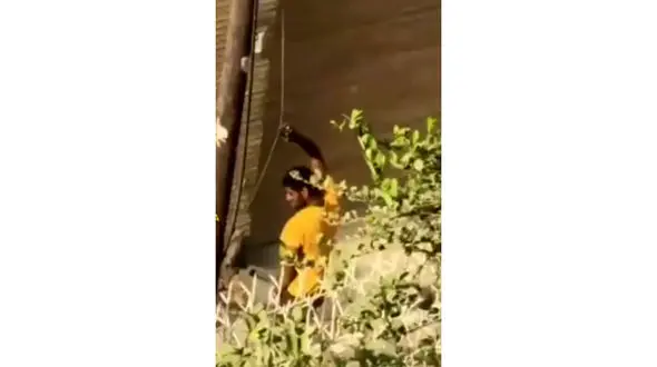 فیلم جالب از سرقت کابل برق در روز روشن / سارق خونسرد با چاقو جولان می داد