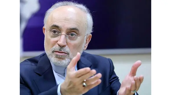 علی اکبر صالحی: ایده ظریف برای کنسرسیوم هسته‌ای از قبل انقلاب مطرح است