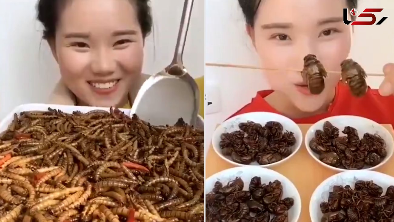اشتهای عجیب یک دختر جوان برای خوردن حشرات! + فیلم