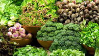  تهرانی‌ها سالی ۲۶میلیارد تومان گِل و ریشه سبزی می‌خرند! 
