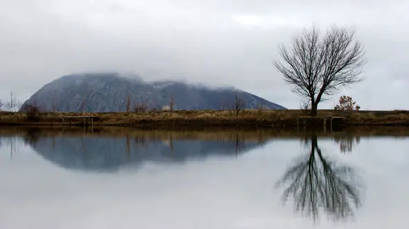 بلای شومی که بر سر 7 ایرانی در خارج آمد! + جزییات