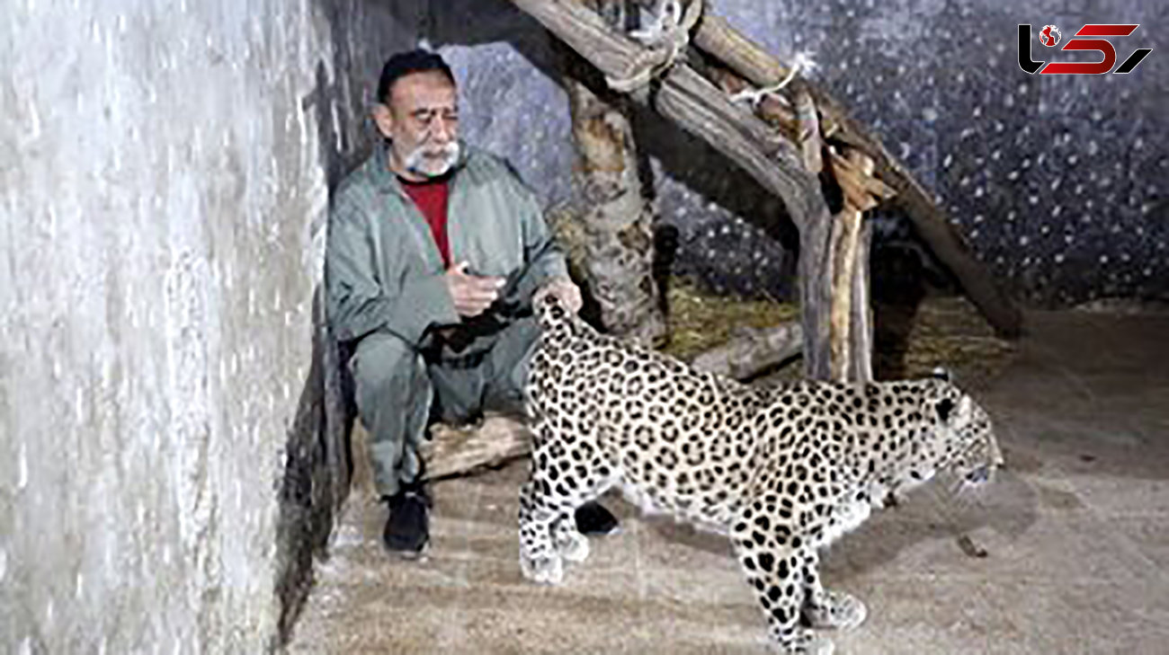 عکس/ این مرد ۷۰۰ حیوان در خانه‌اش نگهداری می‌کند؛ «اگر قاچاقچی بودم که در این کشور ۴۳ سال مدیر نبودم»