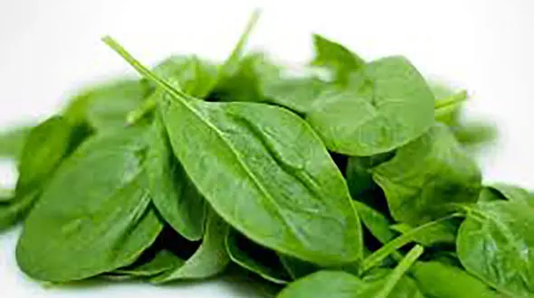 خوراکی های مهم در دوران آلودگی هوا 