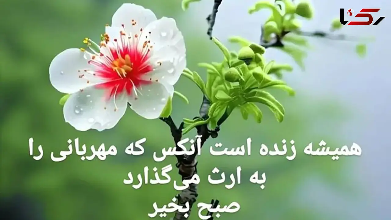 فال ابجد محشر 28 اردیبهشت + فیلم