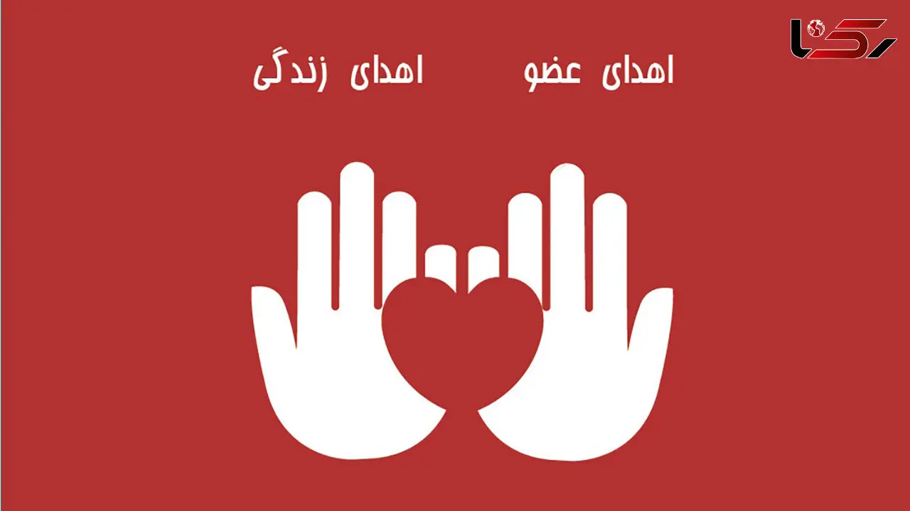 ریحانه در مشهد فرشته شد / همه برایش گریستند
