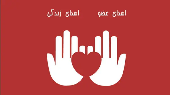 ریحانه در مشهد فرشته شد / همه برایش گریستند
