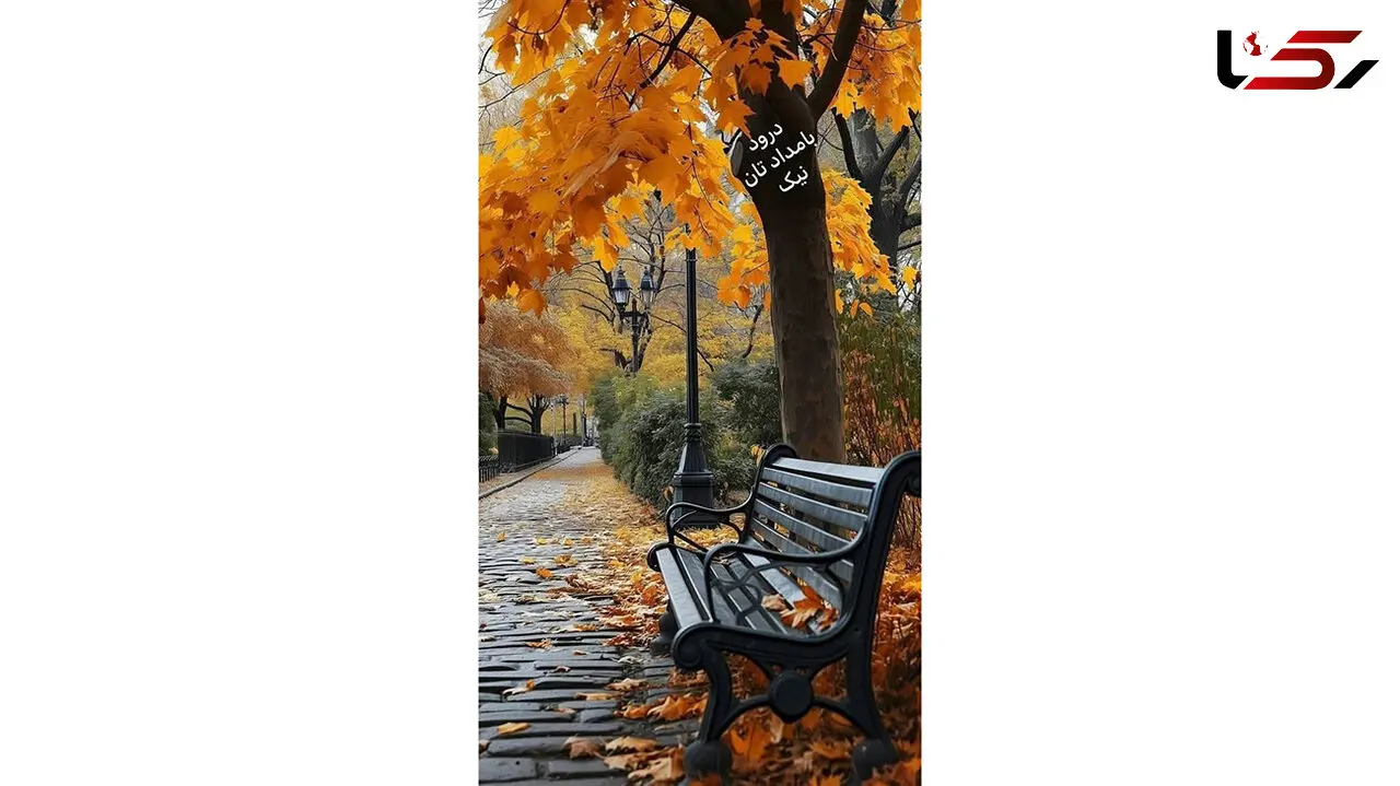تفسیر فال حافظ 6 دی