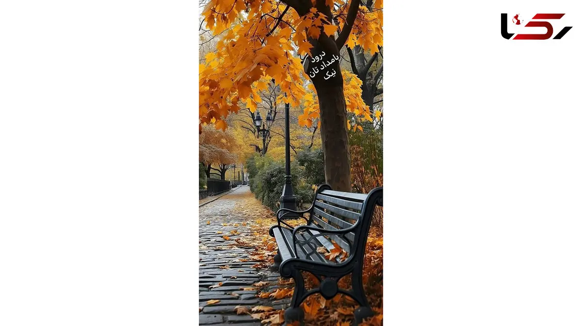 تفسیر فال حافظ 6 دی