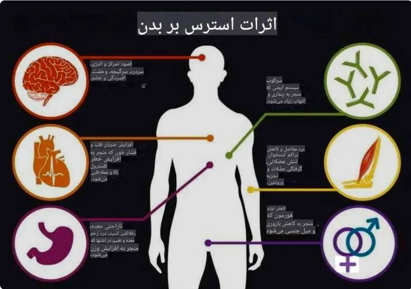 اینفوگراف تاثیر استرس بر بدن (ترجمه شده)