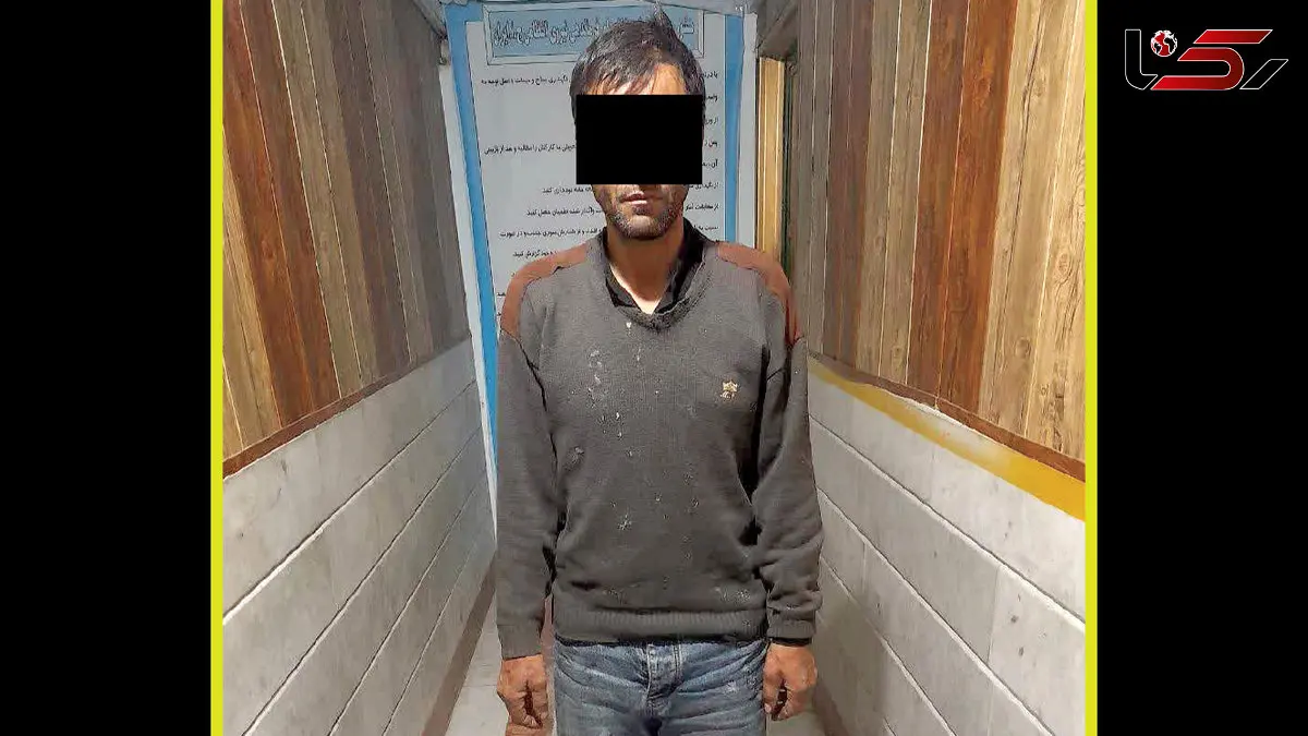 دستبرد به ۱۷ ساختمان نیمه ساز!