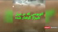 فیلم دلهره آور از داخل اتوبوس گرفتار در سیل امروز شیراز + تصویر