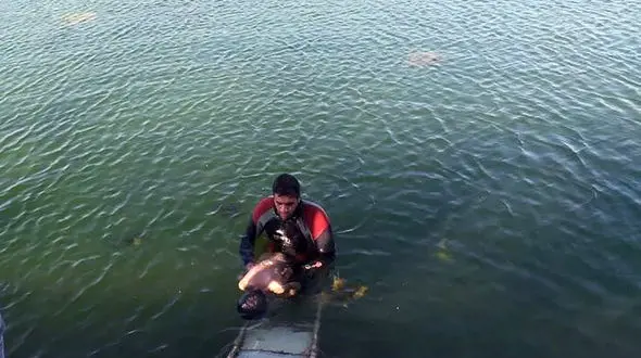 کشف جسد پسر ۱۰ ساله در استخر کشاورزی سربیشه