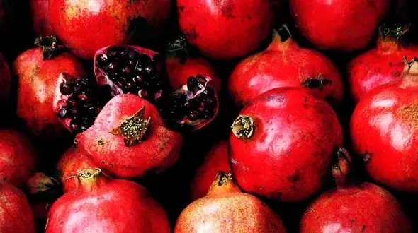 خواص اثبات‌ شده انار برای سلامتی و پیشگیری از بیماری‌ ها