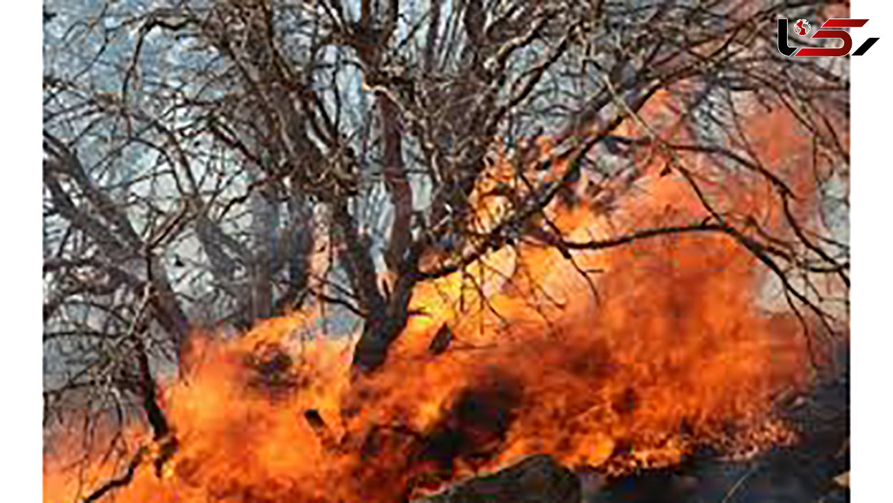 آتش‌سوزی در جنگل‌های پشتکوه بافت