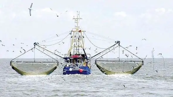 صید ترال معیشت صیادان را به خطر انداخته است