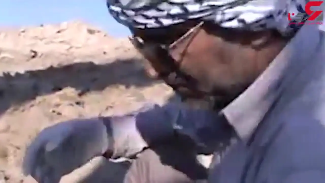 فیلم لحظه پیدا شدن پیکر شهید «درستی» با پیراهن مشکی