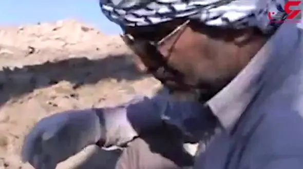 فیلم لحظه پیدا شدن پیکر شهید «درستی» با پیراهن مشکی