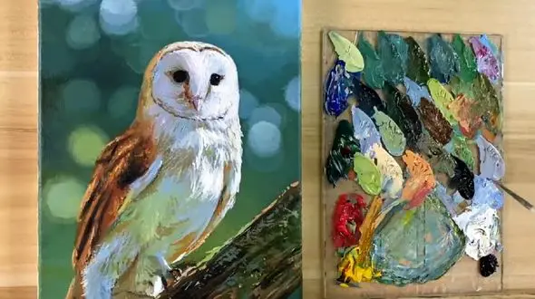 نقاشی متفاوت از یک جغد + فیلم