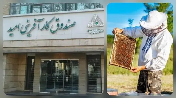 زنبورداران کارآفرین قربانی سیاست‌ های ناکارآمد دولت / صندوق کارآفرینی امید یا ناامیدی! + صوت