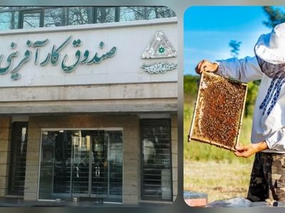 زنبورداران کارآفرین قربانی سیاست‌ های ناکارآمد دولت / صندوق کارآفرینی امید یا ناامیدی!