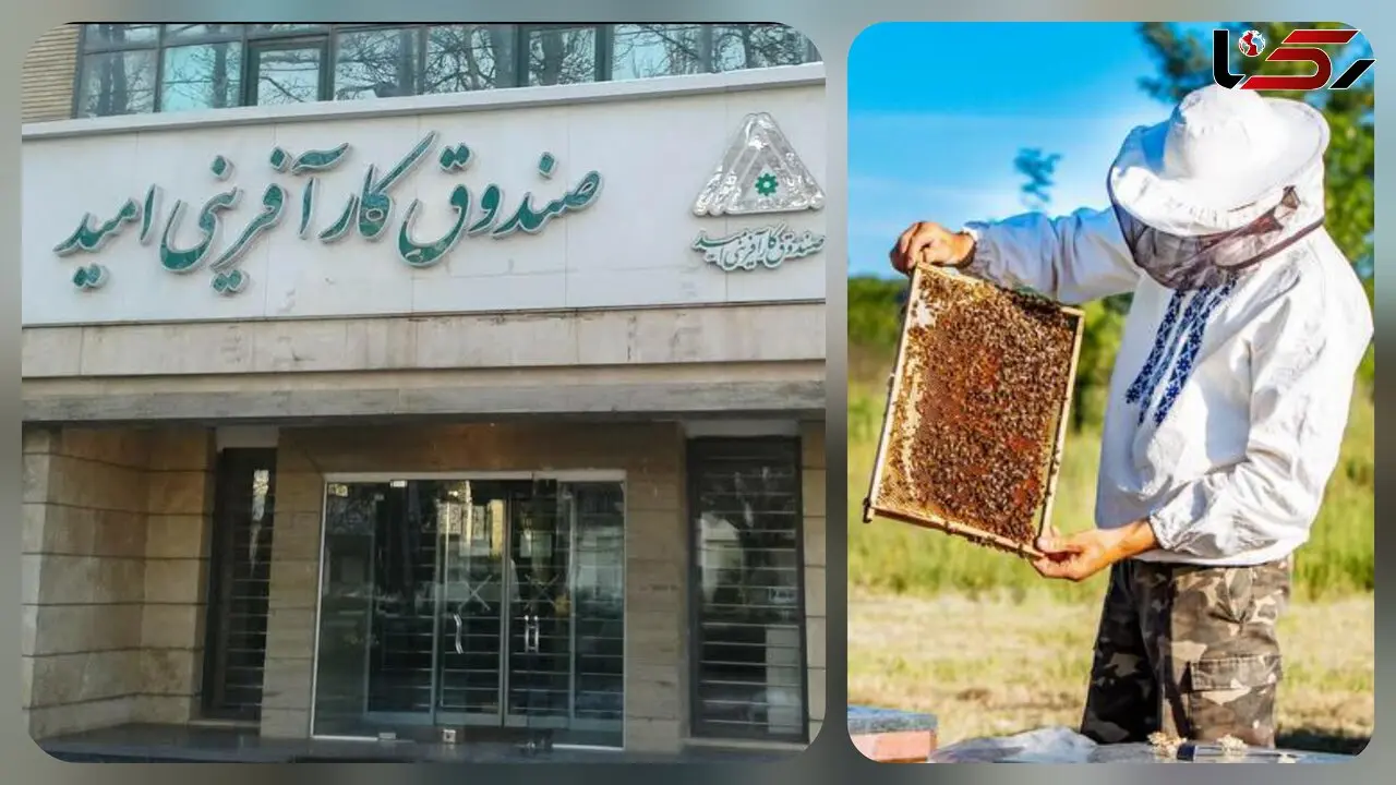 زنبورداران کارآفرین قربانی سیاست‌ های ناکارآمد دولت / صندوق کارآفرینی امید یا ناامیدی! + صوت