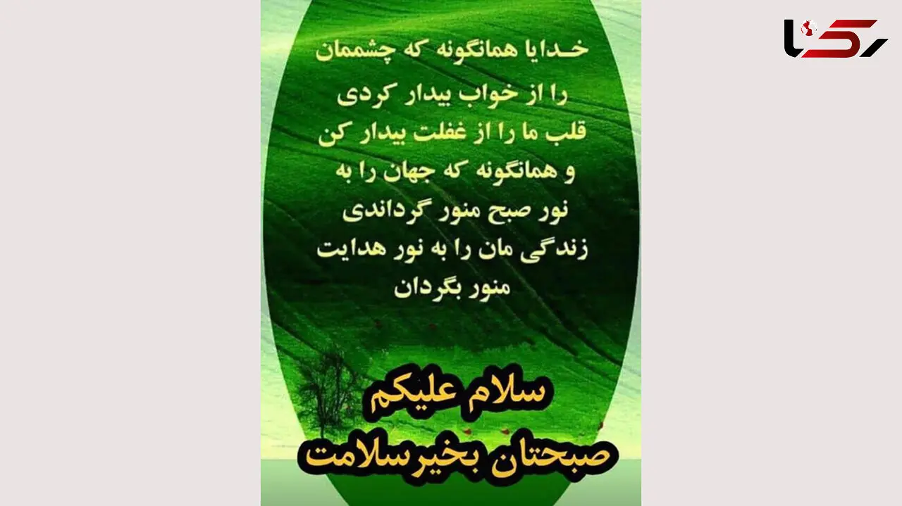 فال روزانه شخصی/ 24 شهریور ماه + فیلم