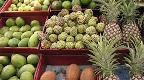 میوه‌های قاچاق را بشناسید