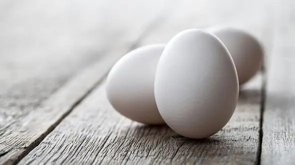 اهمیت تخم مرغ در رژیم غذایی