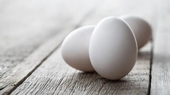 اهمیت تخم مرغ در رژیم غذایی