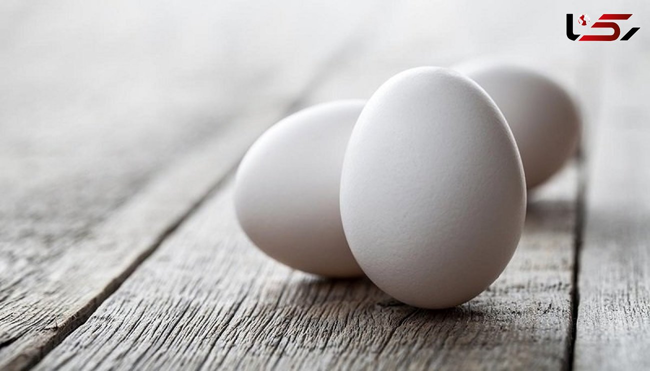 اهمیت تخم مرغ در رژیم غذایی