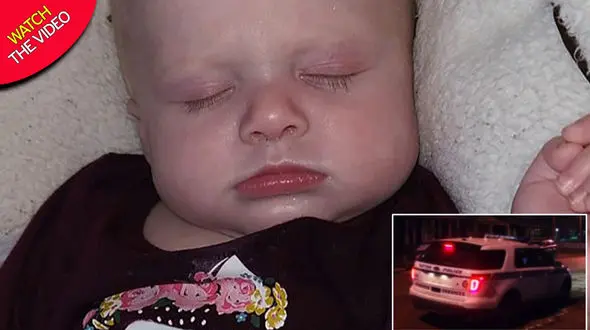 مرگ وحشتناک نوزاد توسط سگ خانگی بزرگ + عکس و فیلم