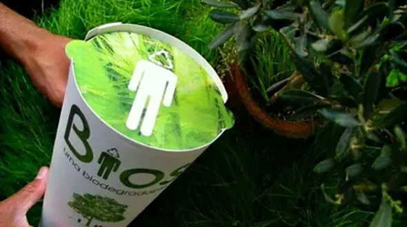 بعد از مرگ، درخت شوید +عکس 