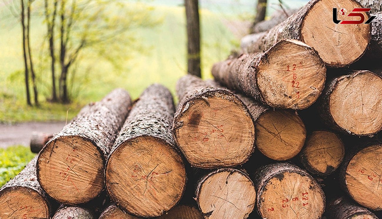کشف و ضبط 10 تن چوب قاچاق در رومشکان