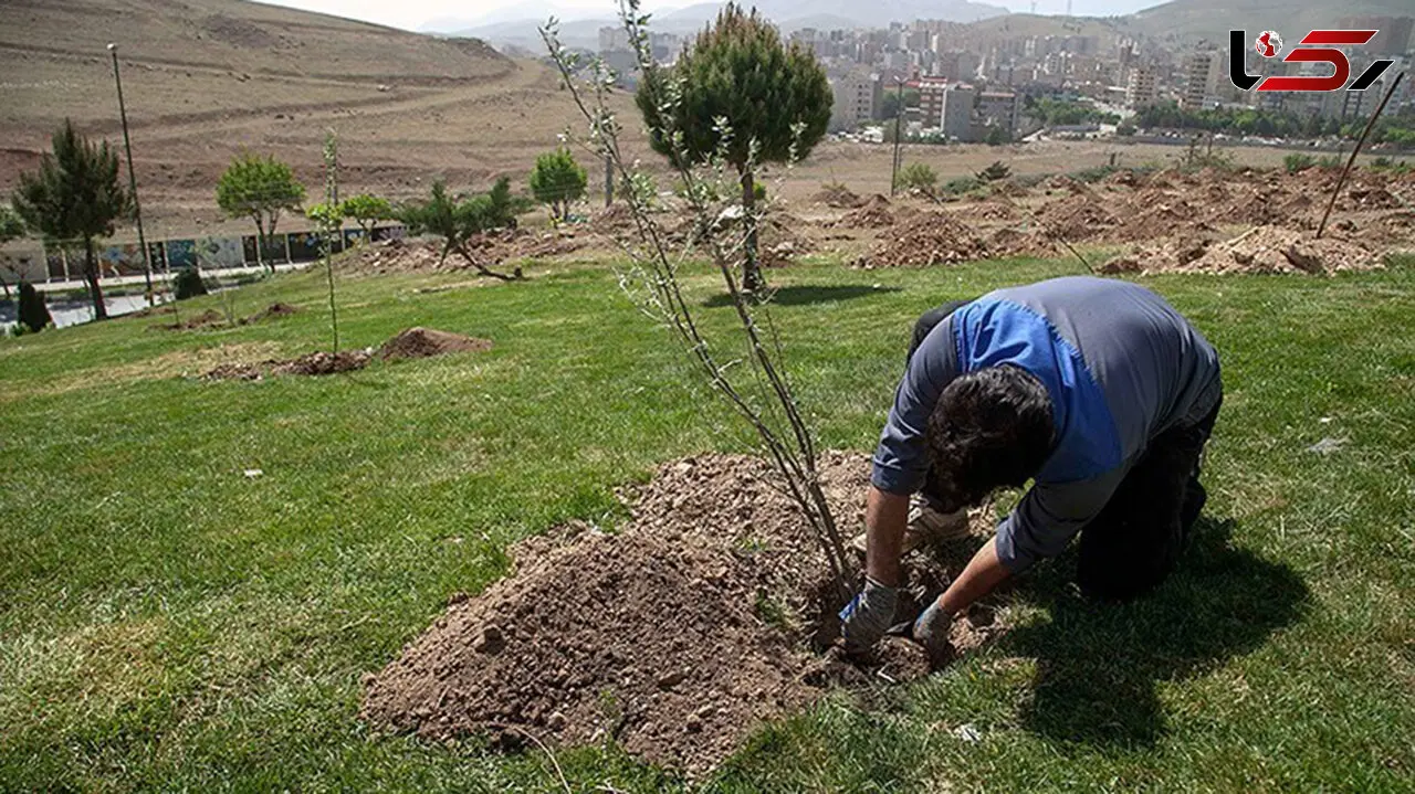 فیلم درختکاری به یاد اهداکنندگان عضو با کاشت بیش از 200 نهال در منطقه 19 تهران