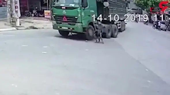 زنده ماندن معجزه آسای دوچرخه سوار پس از زیر گرفته شدن توسط کامیون+ فیلم 