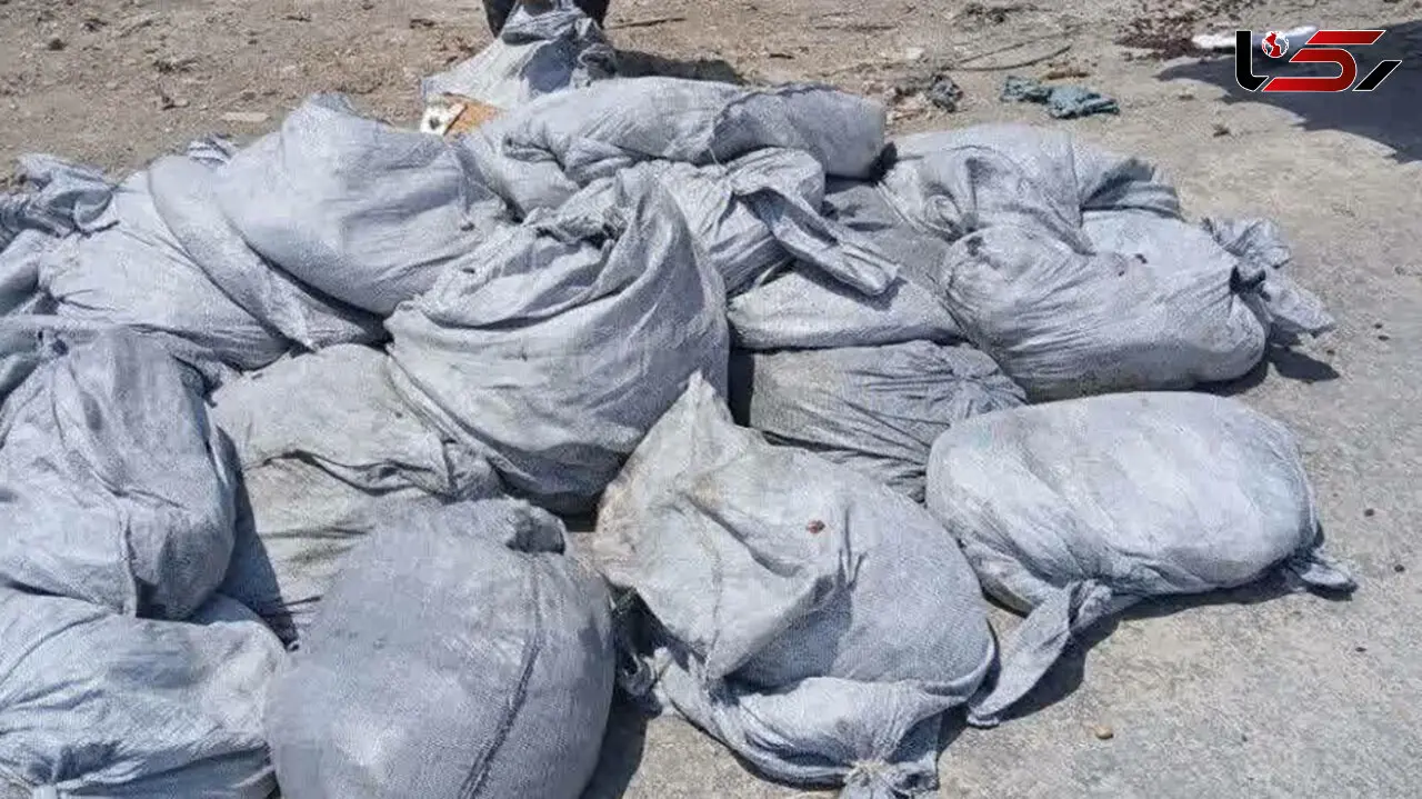 معدوم‌سازی ۵ تن کشمش و توت غیر قابل مصرف در آبادان