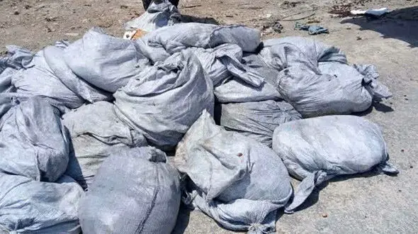 معدوم‌سازی ۵ تن کشمش و توت غیر قابل مصرف در آبادان