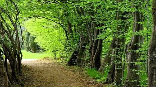 امروز با طبیعت مهربان باشیم!